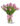 tulipani-rosa.jpg